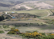 roy-cove-creek
